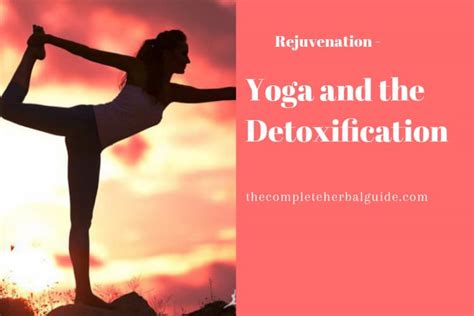 Yoga and Detoxification - Health and Natural Healing Tips