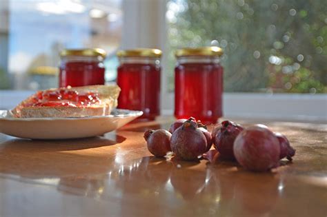 Guava jelly recipe — The Jamjar