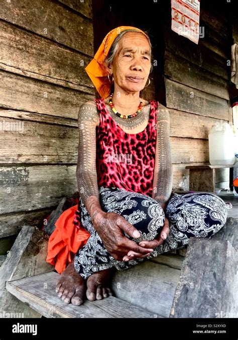 A tattooed elder from the Butbut tribe in Buscalan, Philippines Stock ...