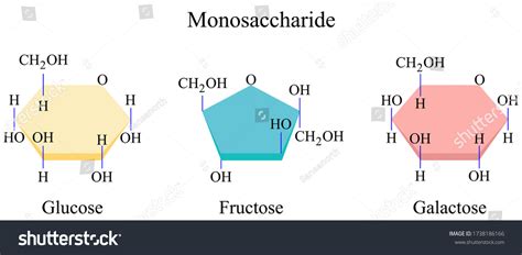 Illustration Chemical Monosaccharide Most Basic Form Stock Vector ...