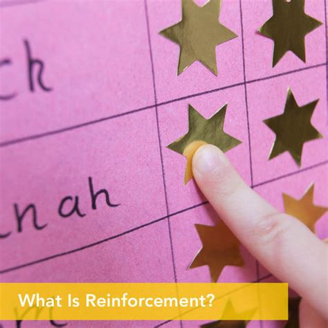 What Is Reinforcement? — Behavior Frontiers