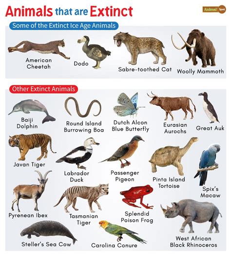 Extinct Animals Images With Names