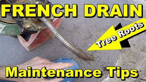 French Drain - Get the Roots Out - Cleaning Tips - YouTube