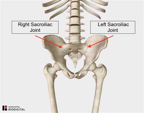 Lower Back and Hip Pain | 7 Frequently Overlooked Causes