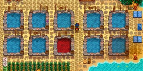 Best Fish Pond Fish In Stardew Valley