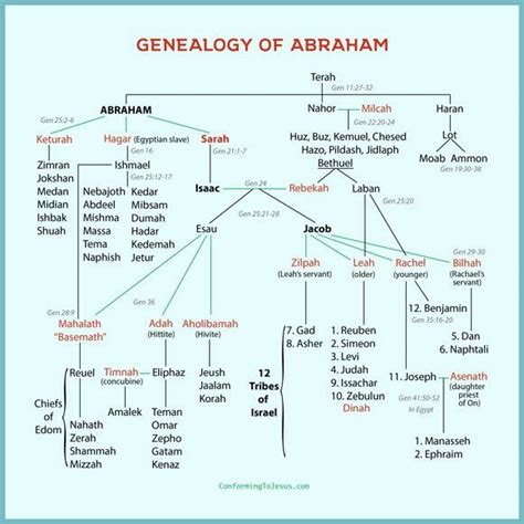 Pin by Rianne Sanders on christelijk genealogie | Bible genealogy, Bible teachings, Genesis ...