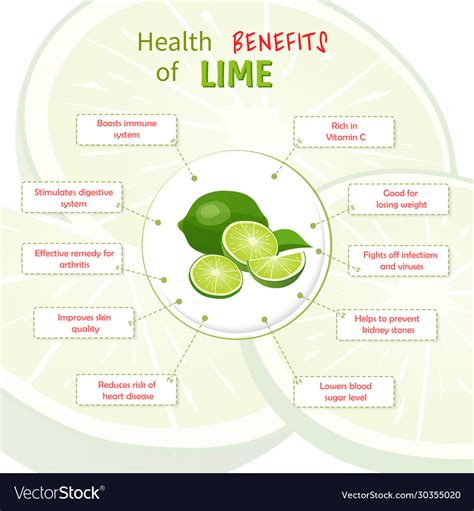 Health benefits lime limes nutrients Royalty Free Vector