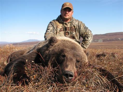 Western Alaska Bear Hunts | Arctic North Guides | Brown Bear Hunt | Grizzly Bear Hunt