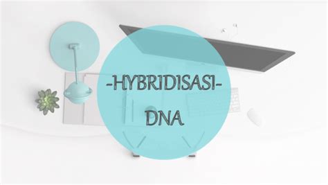 (PDF) HIBRIDISASI DNA | Octavia amiir - Academia.edu