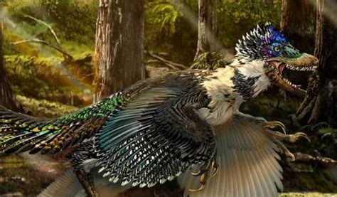 Discovering a New Dinosaur Helped Us Prove Velociraptors Had Feathers ...