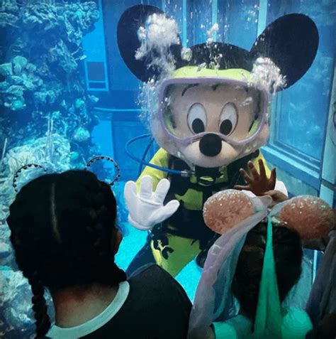 Catch Mickey Mouse Diving at Disney World For a Limited Time! - Inside ...