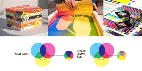 A Complete Overview About Spot Color vs. CMYK for Packaging Design