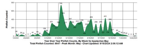 Apalachee Bay Fishing (June 30, 2023 Update)