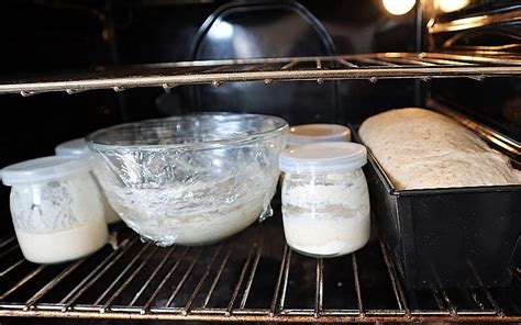 A Guide On Proofing Bread In The Oven - How Does It Work? - Busby's