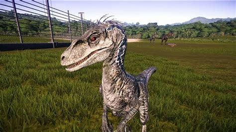 Jurassic Passion on Instagram: “What if Blue was a JP3 Male Raptor? JWE Mods have the answer! I ...