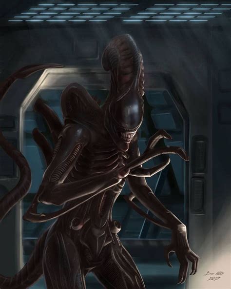 Xenomorph - Alien Fan Art by djvoltz | Xenomorph, Xenomorph types, Alien art