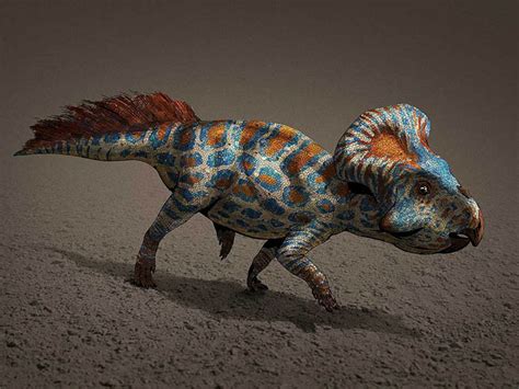 Protoceratops | Paleontology World