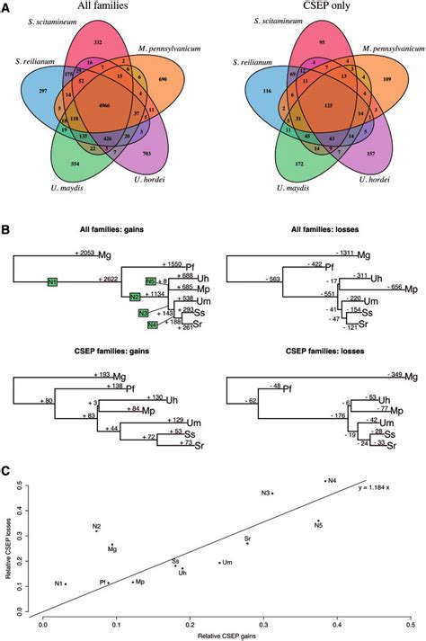 -Evolution of gene families. (A) Repartition of homologous gene... | Download Scientific Diagram