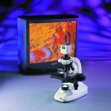 BM E Microscope with Superior Optics - Media | Products | Leica Microsystems