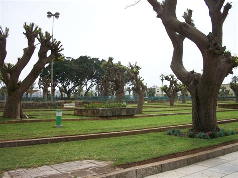 Gardens of Royal Palace Rabat, Morocco | Libby Butler | Flickr