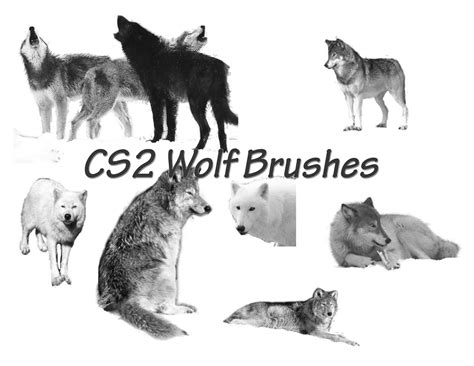 Wolf Brushes for Photoshop CS2 by CelticMagician on DeviantArt