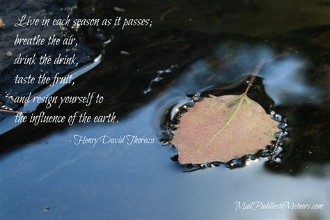 Thoreau Quotes On Nature. QuotesGram