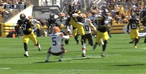 Antonio Brown Kicks Browns Punter [VIDEO] - Business Insider