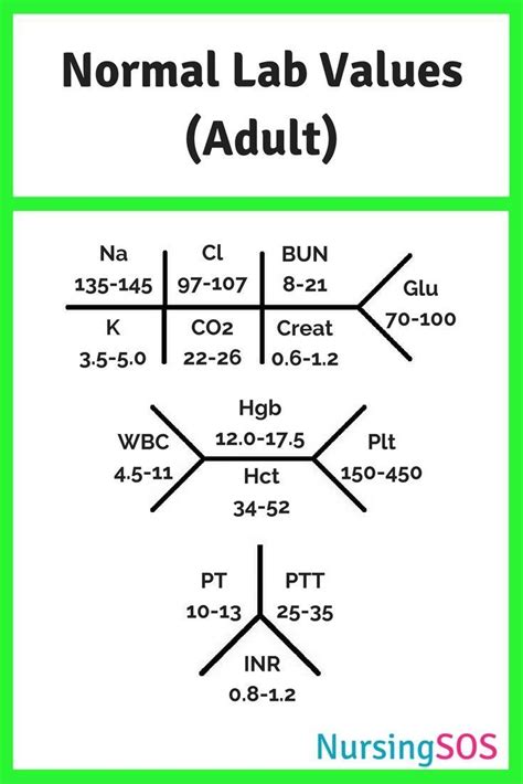 Normal Lab Values You Need to Know in Nursing School. Click through to ...