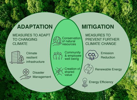 Climate change Adaptation or Mitigation? What should businesses focus ...