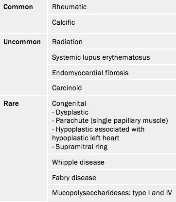 Heart valve disease module 1: epidemiology - The British Journal of ...