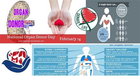 Aditya Library: National Organ Donor Day