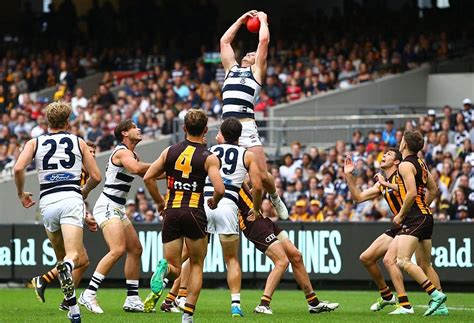 AFL Tips | Round 19 - Back A Winner