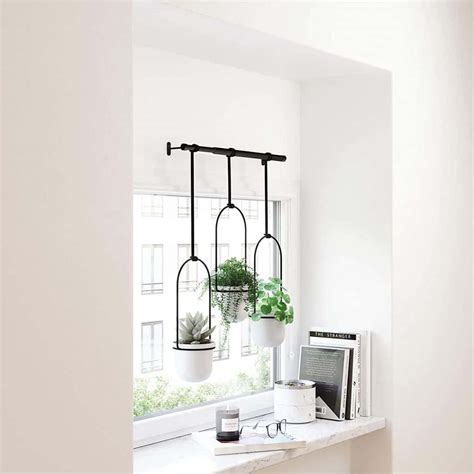 15 Best Hanging Indoor Planters for Your Home - Paisley Plants