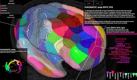 A 3D Map Of The Brain Shows How We Understand Language | Popular Science