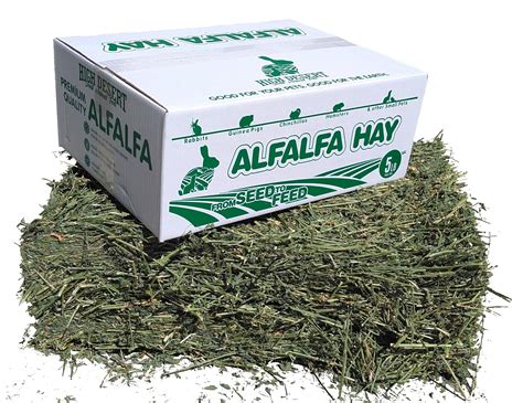 Buy High Desert Alfalfa Hay - Dried Natural Alfalfa Hay for Rabbits ...