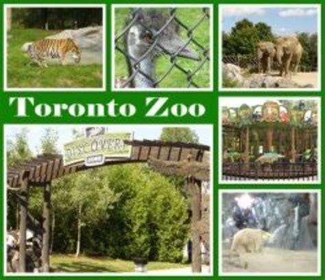 Toronto Zoo Canada | HubPages