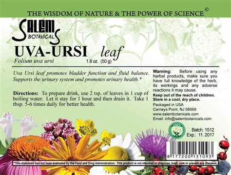 Uva-Ursi Leaf - Salem Botanicals