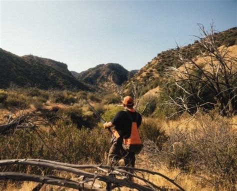 Hunting Valley Quail on Public Land - Project Upland Magazine