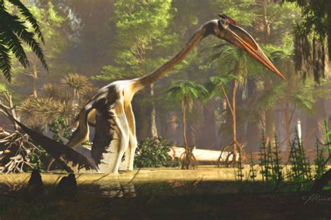 Fossils Reveal Unique Walking Behavior of Quetzalcoatlus | Sci.News