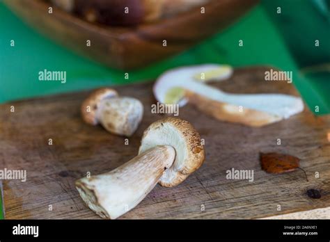 Edible mushrooms in the kitchen in fall season Stock Photo - Alamy