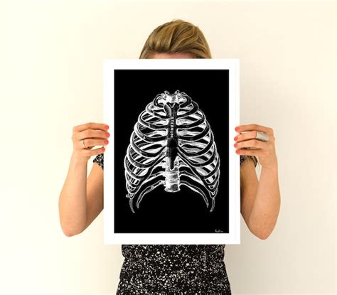 Human Rib cage black poster Anatomy Art Anatomical art | Etsy