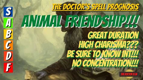 How Awesome Is Animal Friendship? Can You Say Beast Army in Dungeons and Dragons 5E - YouTube