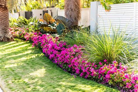 How to Choose the Right Landscaping Plants?