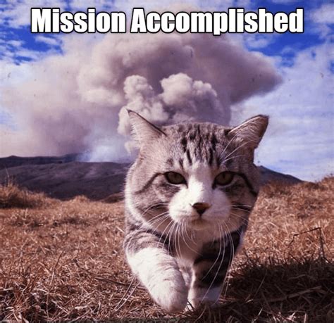 Mission Accomplished - Lolcats - lol | cat memes | funny cats | funny cat pictures with words on ...