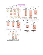 Understanding the 20 Amino Acids: Structure and Properties | Course Hero