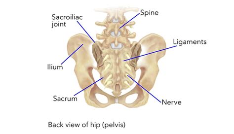 Sacroiliac Joint Dysfunction - Symptoms, Causes and Treatments