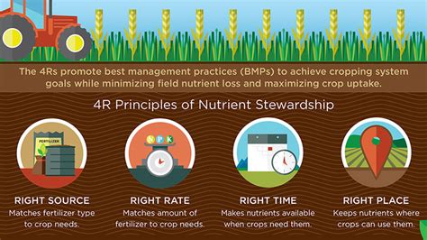 Principles of Fertilizer Application: Balanced Fertilization & Timing