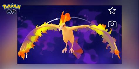 Pokemon GO: Shadow Moltres Raid Guide | Counters, Weaknesses, And More