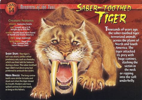 14+ Saber toothed tiger ideas