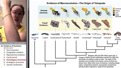 How Are Homologous Structures Evidence For Evolution - cloudshareinfo